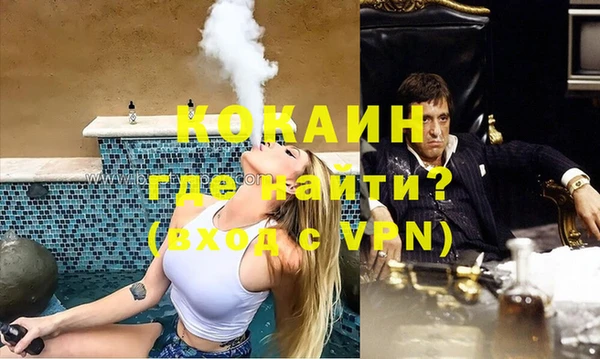 PSILOCYBIN Кулебаки