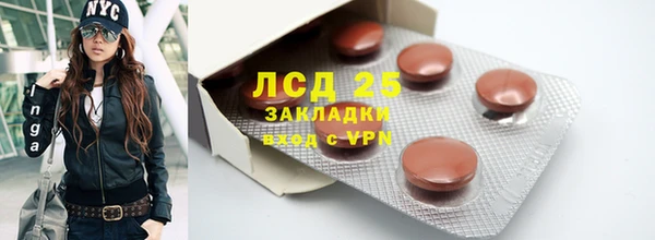 PSILOCYBIN Кулебаки