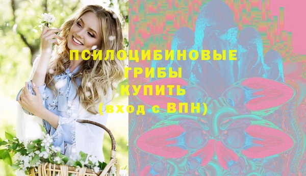 PSILOCYBIN Кулебаки