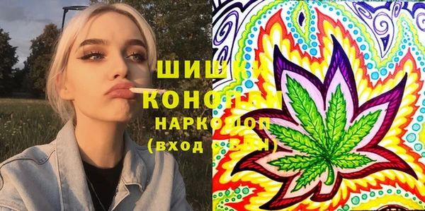 PSILOCYBIN Кулебаки