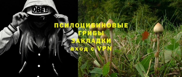 PSILOCYBIN Кулебаки