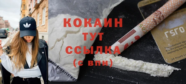 PSILOCYBIN Кулебаки